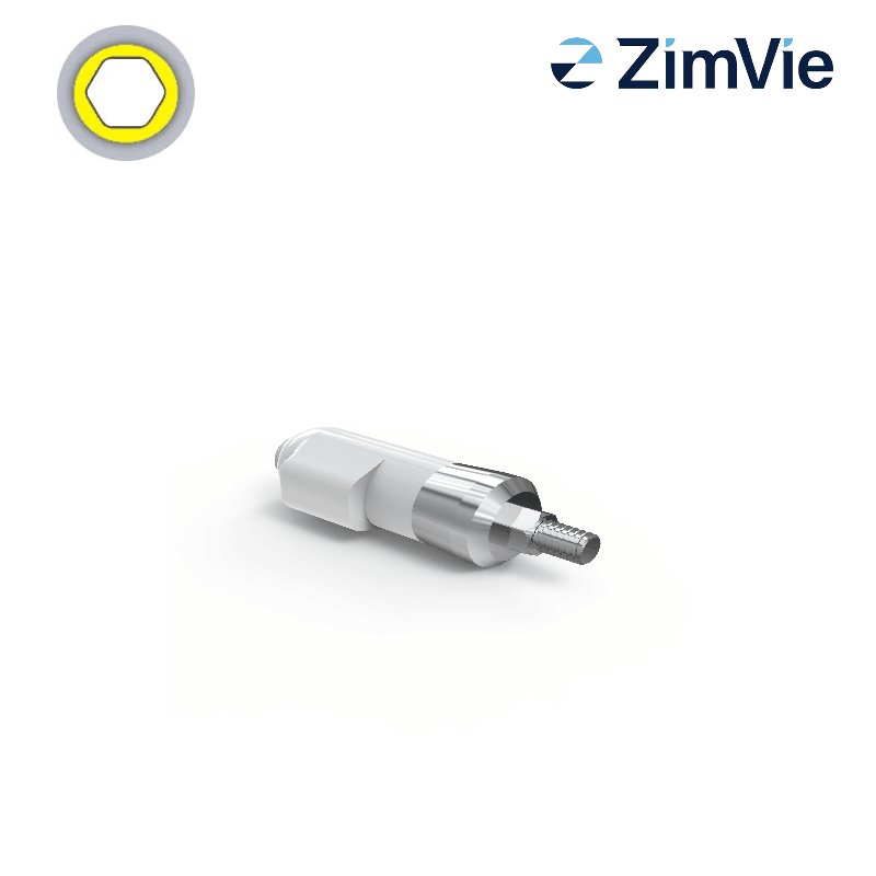 Zimmer Intraoral Scanbody (TSV, 5,7 mm) Zimmer Intraoral Scanbody (TSV, 5,7 mm)